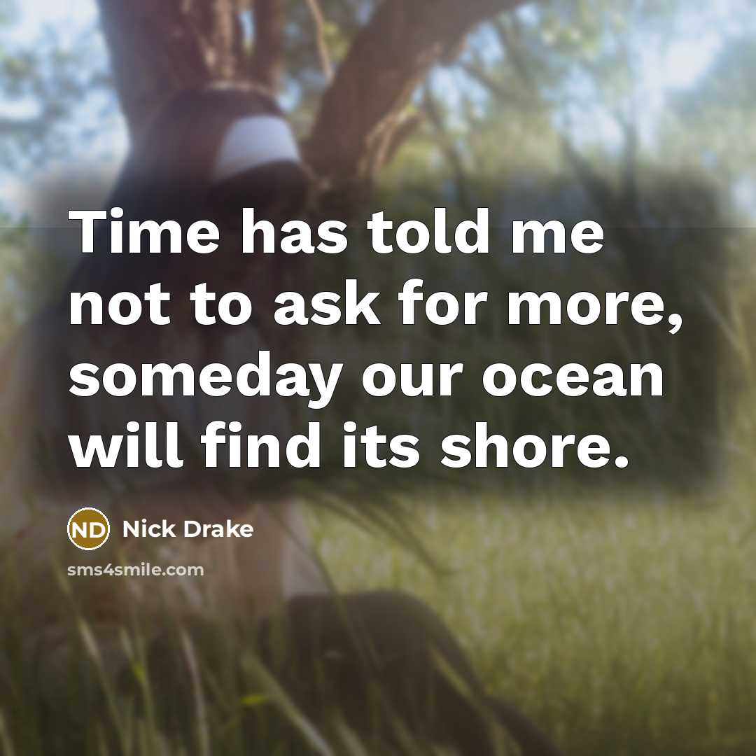 “Time has told me not to ask for more, someday…” quote by Nick Drake