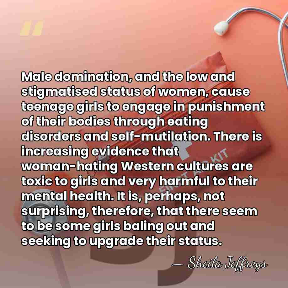 Male domination, and the low and stigmatised status of women, cause teenage&hellip; - Sheila Jeffreys