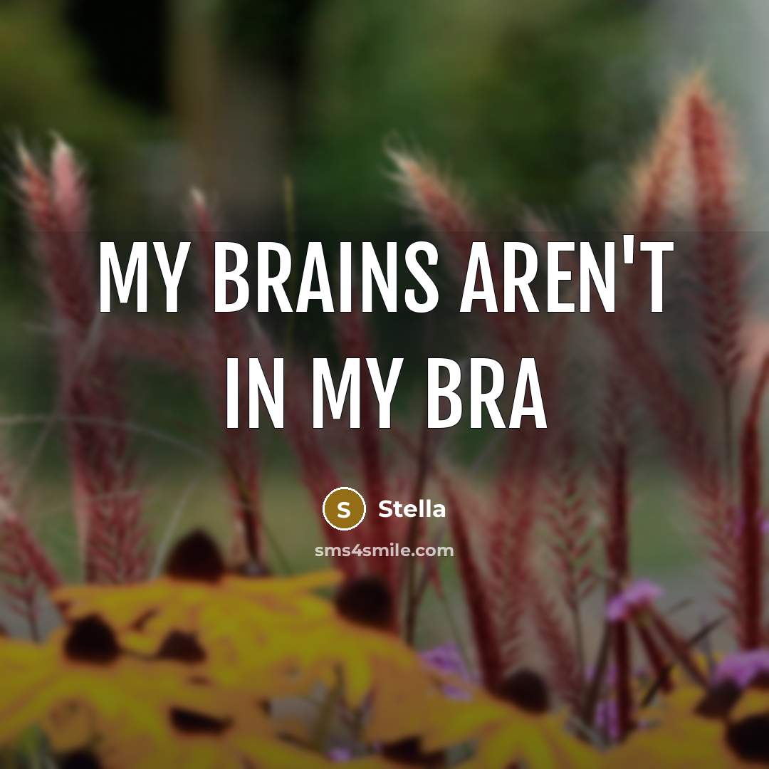 “My brains aren't in my bra…” quote by Stella