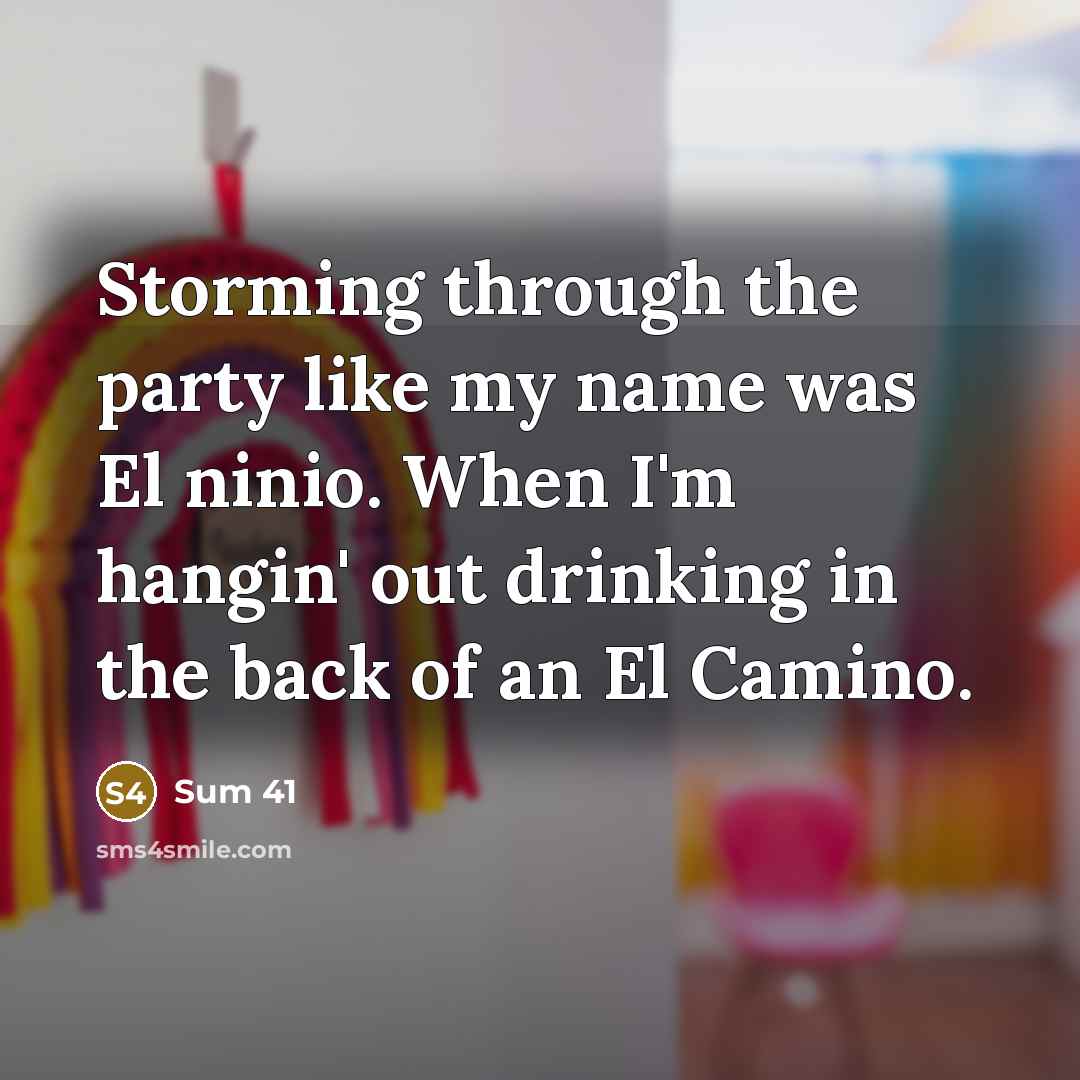 “Storming through the party like my name was El ninio.…” quote by Sum 41
