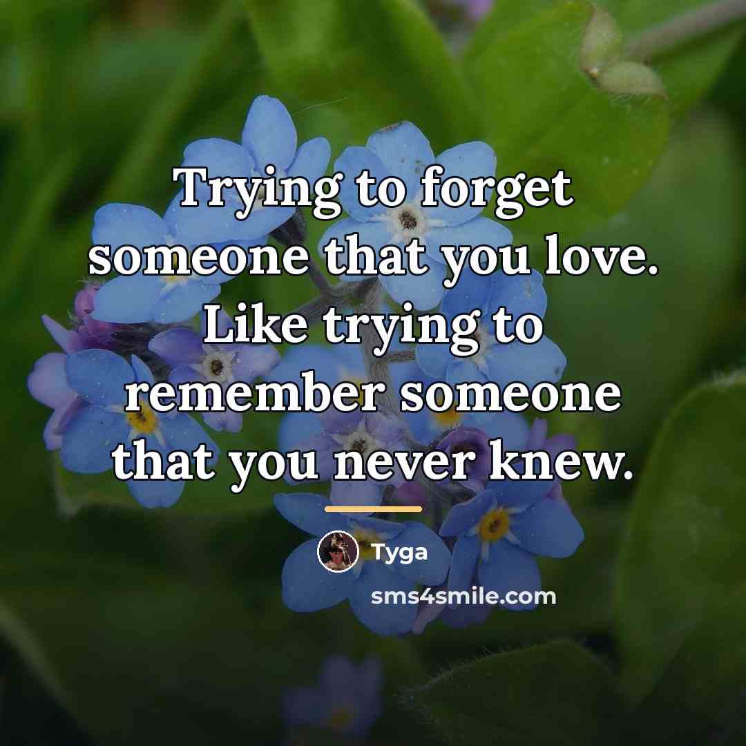 “Trying to forget someone that you love. Like trying to…” quote by Tyga