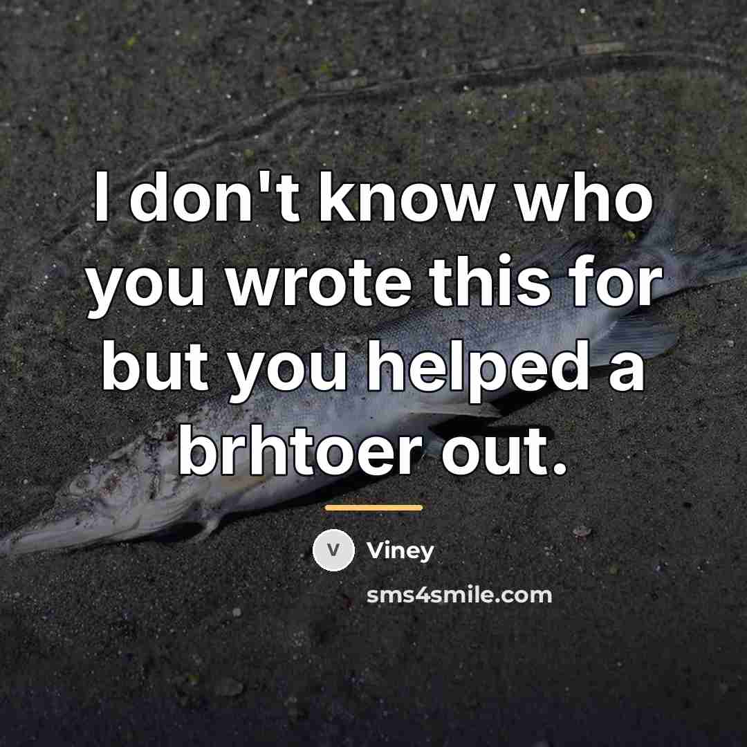 “I don't know who you wrote this for but you…” quote by Viney