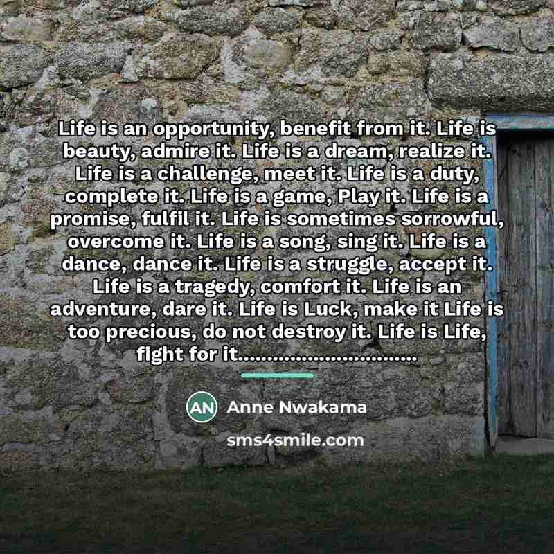 “Life is an opportunity, benefit from it. Life is beauty,…” quote by Anne Nwakama