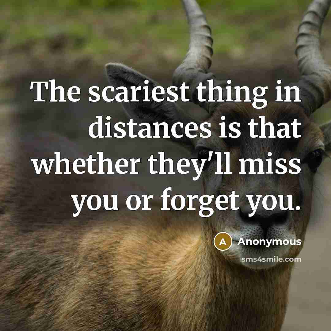 “The scariest thing in distances is that whether they'll miss you or forget you.” quote by Anonymous