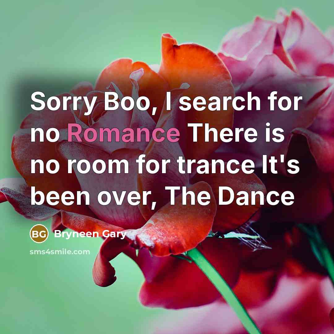 “Sorry Boo, I search for no Romance There is no…” quote by Bryneen Gary