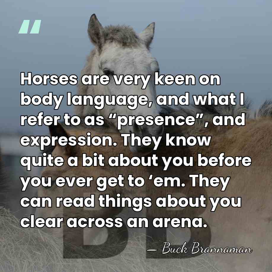 Horses are very keen on body language, and what I refer to&hellip; - Buck Brannaman