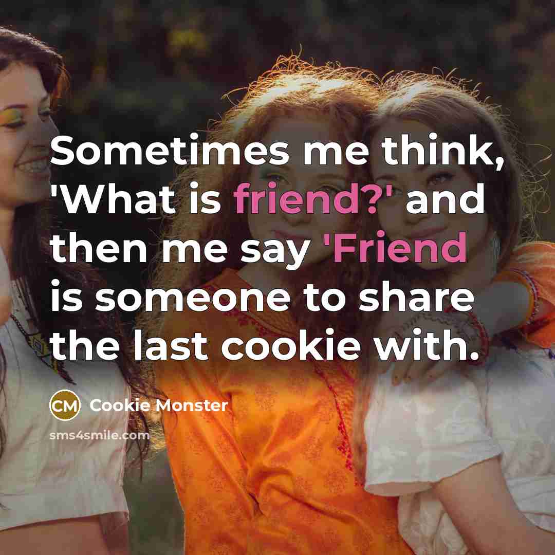 “Sometimes me think, 'What is friend?' and then me say…” quote by Cookie Monster