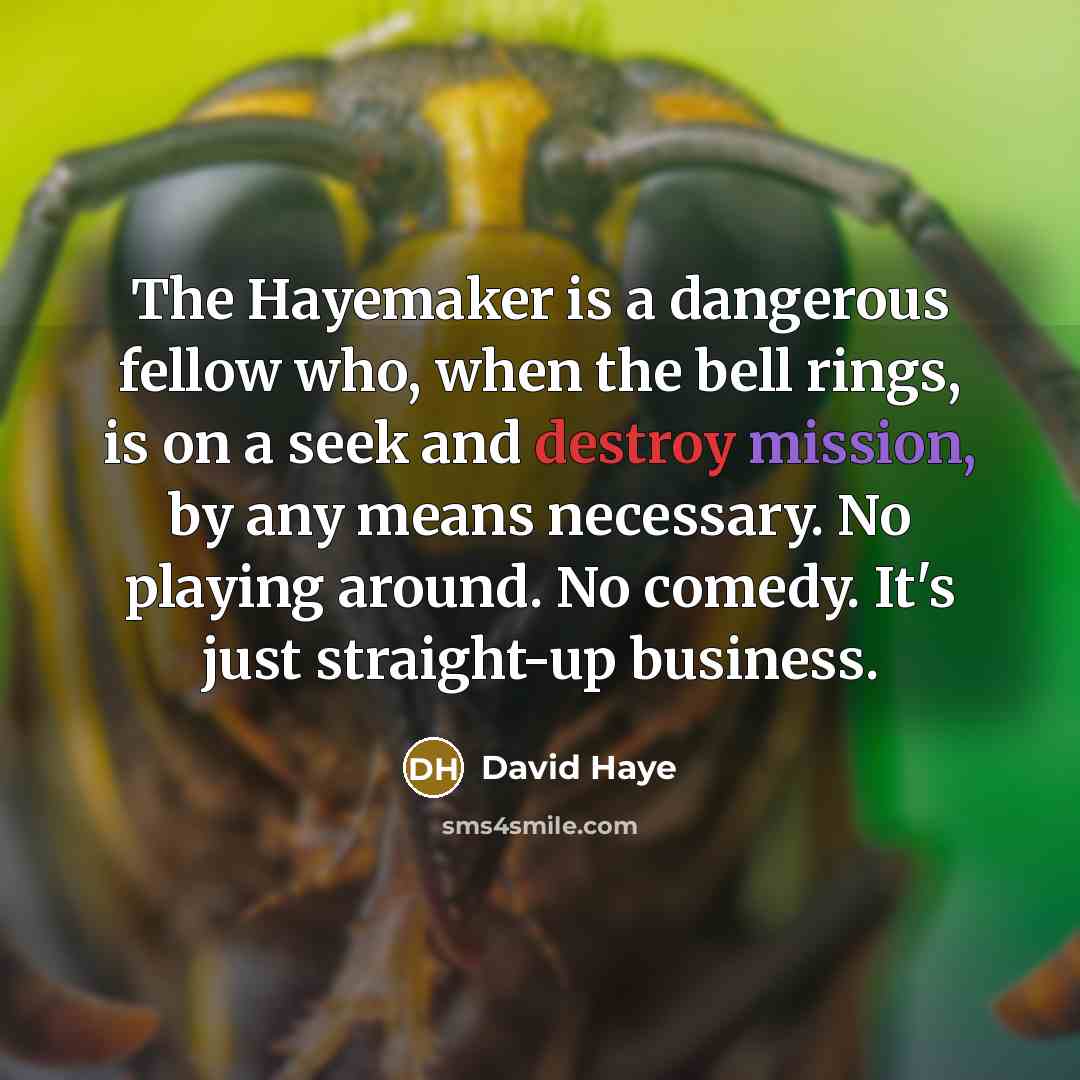 “The Hayemaker is a dangerous fellow who, when the bell…” quote by David Haye