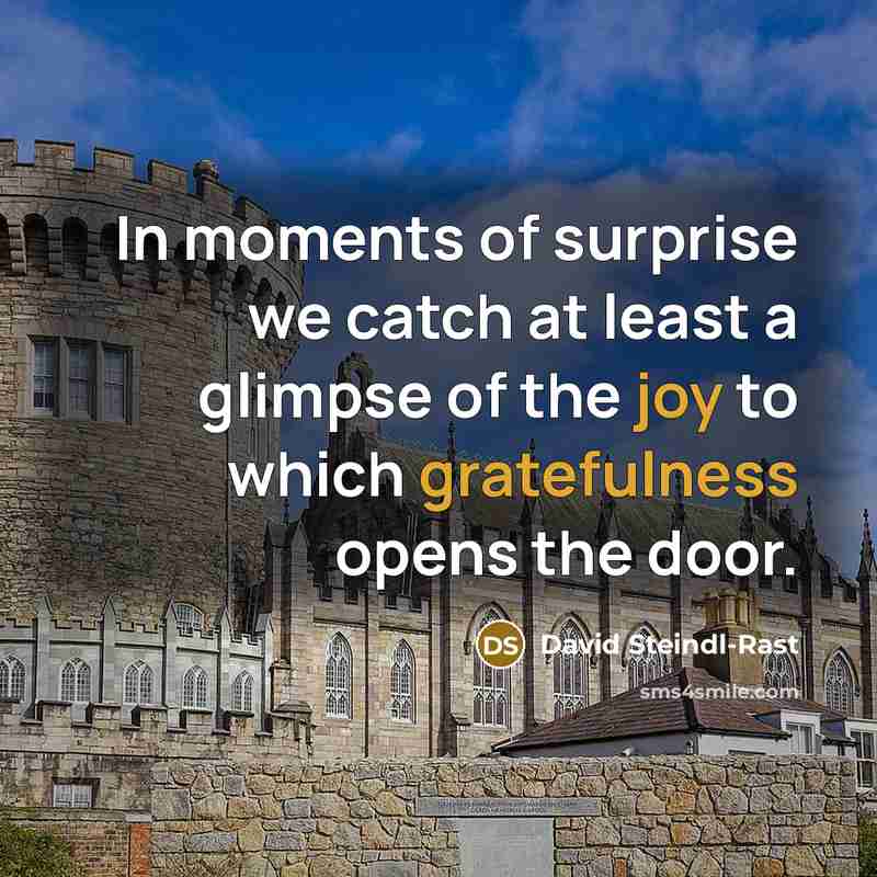 “In moments of surprise we catch at least a glimpse…” quote by David Steindl-Rast