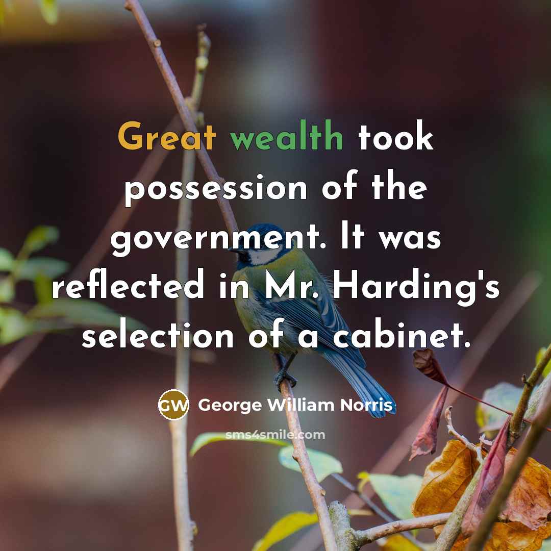 “Great wealth took possession of the government. It was reflected…” quote by George William Norris