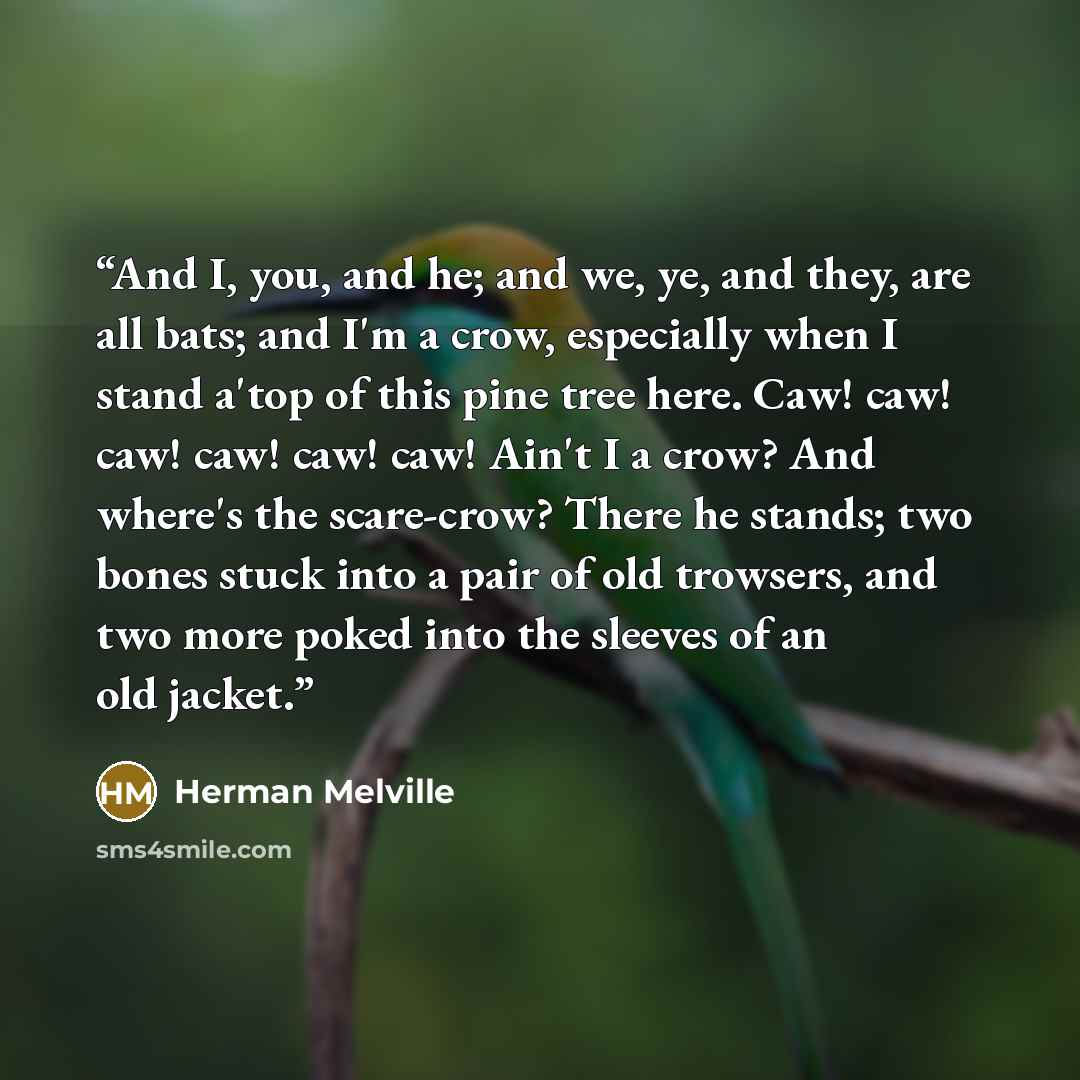 “And I, you, and he; and we, ye, and they, are all bats; and I'm a crow, especially when I stand a'top of this pine tree here. Caw! caw! caw! caw! caw! caw! Ain't I a crow? And where's the scare-crow? There he stands; two bones stuck into a pair of old trowsers, and two more poked into the sleeves…” quote by Herman Melville