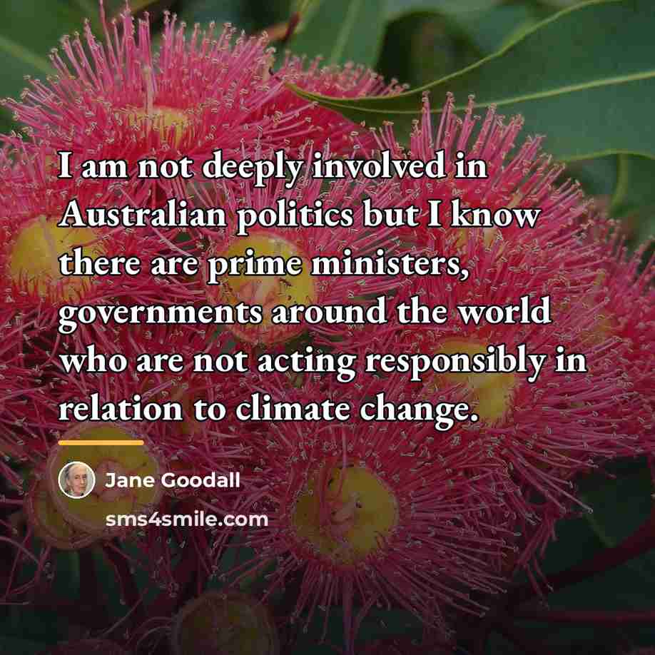“I am not deeply involved in Australian politics but I…” quote by Jane Goodall