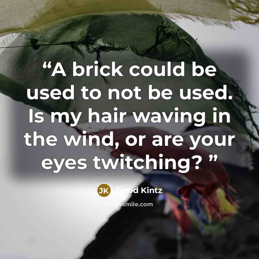 “A brick could be used to not be used. Is my hair waving in the wind, or are your eyes twitching?” quote by Jarod Kintz