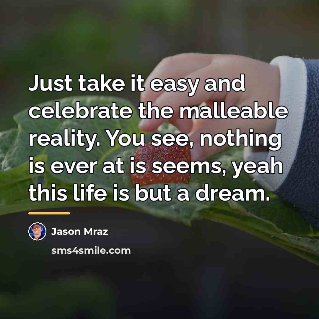“Just take it easy and celebrate the malleable reality. You…” quote by Jason Mraz