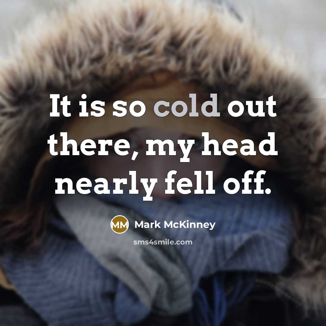 “It is so cold out there, my head nearly fell…” quote by Mark McKinney