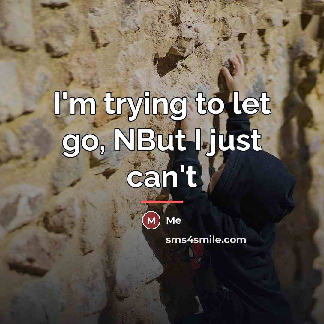 “I'm trying to let go, NBut I just can't…” quote by Me