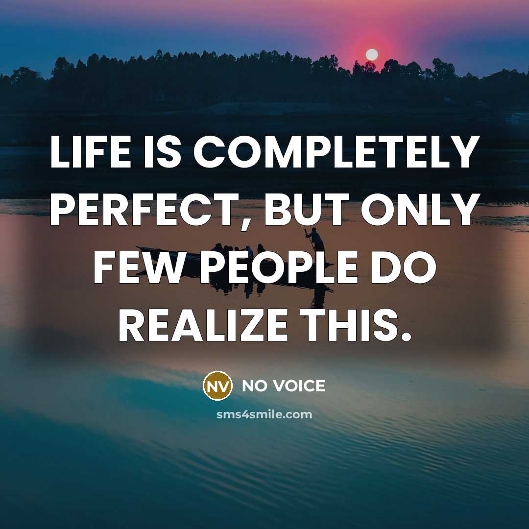“LIFE IS COMPLETELY PERFECT, BUT ONLY FEW PEOPLE DO REALIZE…” quote by NO VOICE