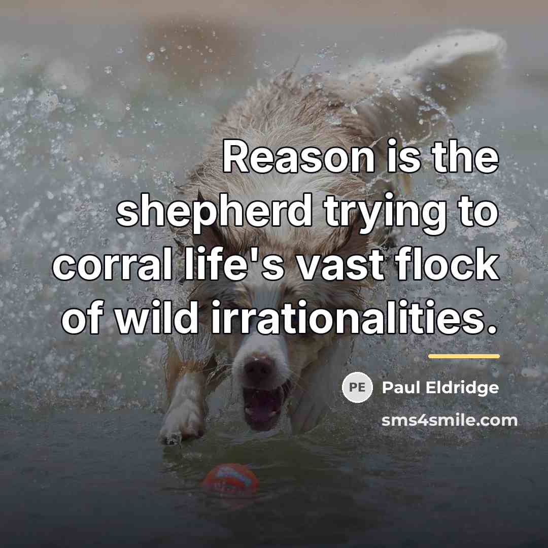 “Reason is the shepherd trying to corral life's vast flock…” quote by Paul Eldridge