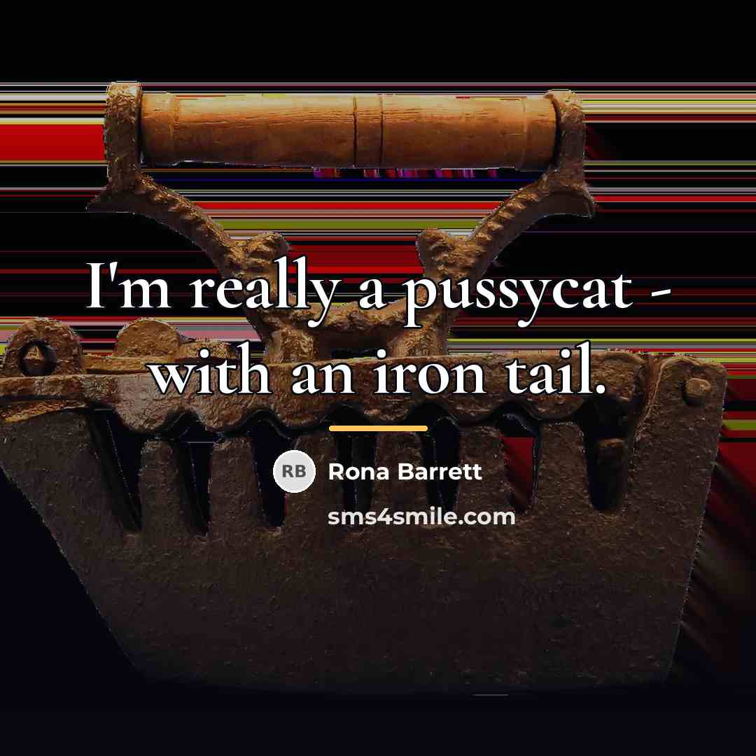 “I'm really a pussycat - with an iron tail.…” quote by Rona Barrett