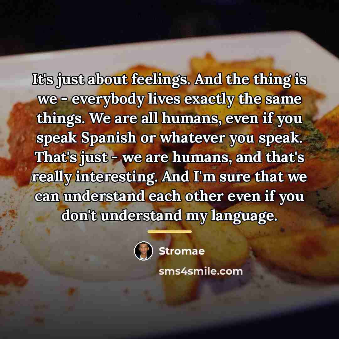 “It's just about feelings. And the thing is we -…” quote by Stromae
