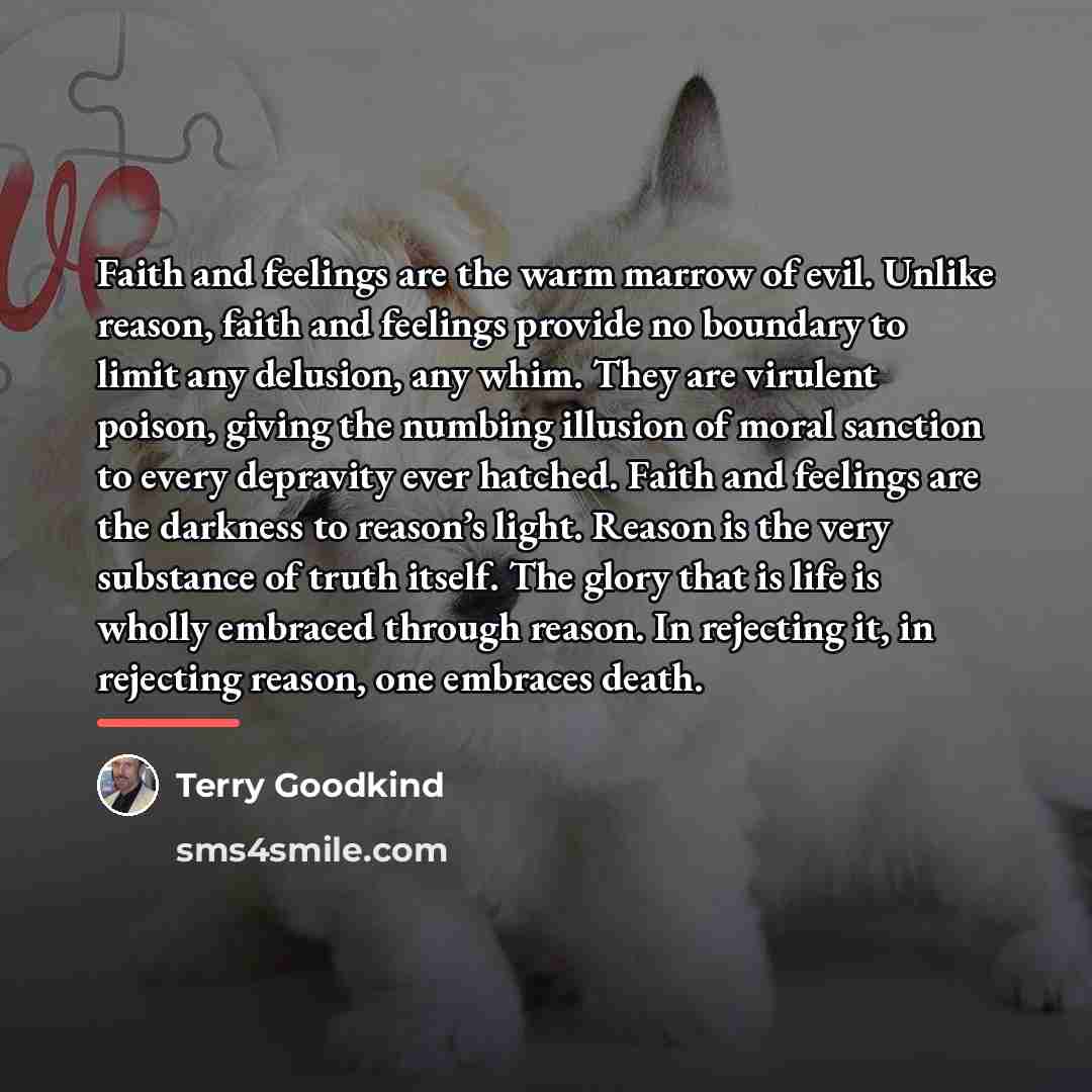 “Faith and feelings are the warm marrow of evil. Unlike…” quote by Terry Goodkind