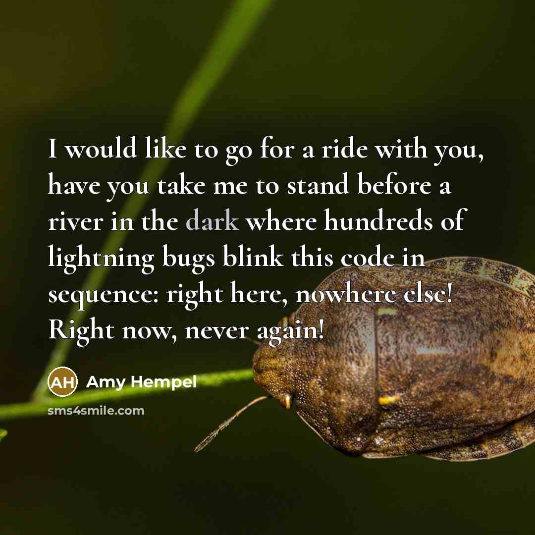 “I would like to go for a ride with you,…” quote by Amy Hempel