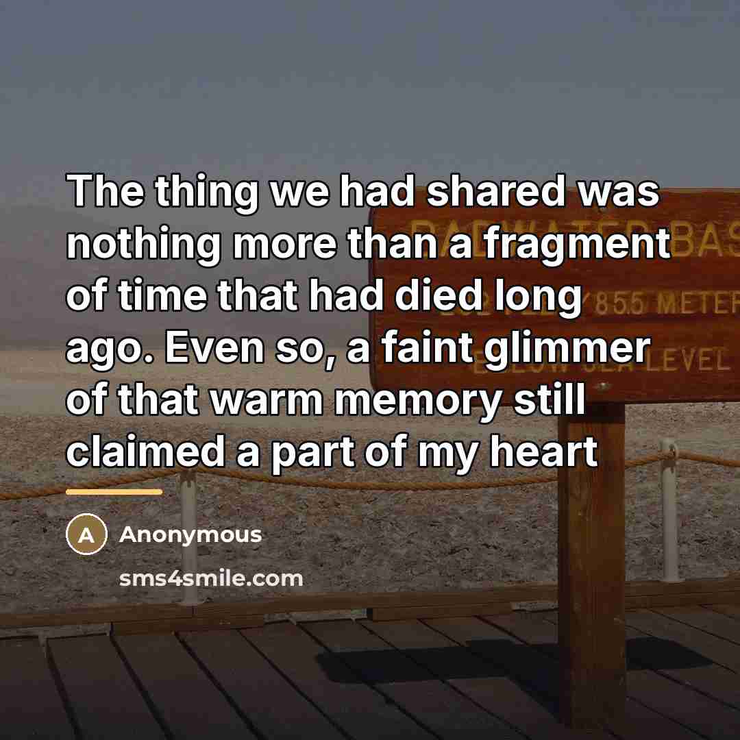 “The thing we had shared was nothing more than a…” quote by Anonymous