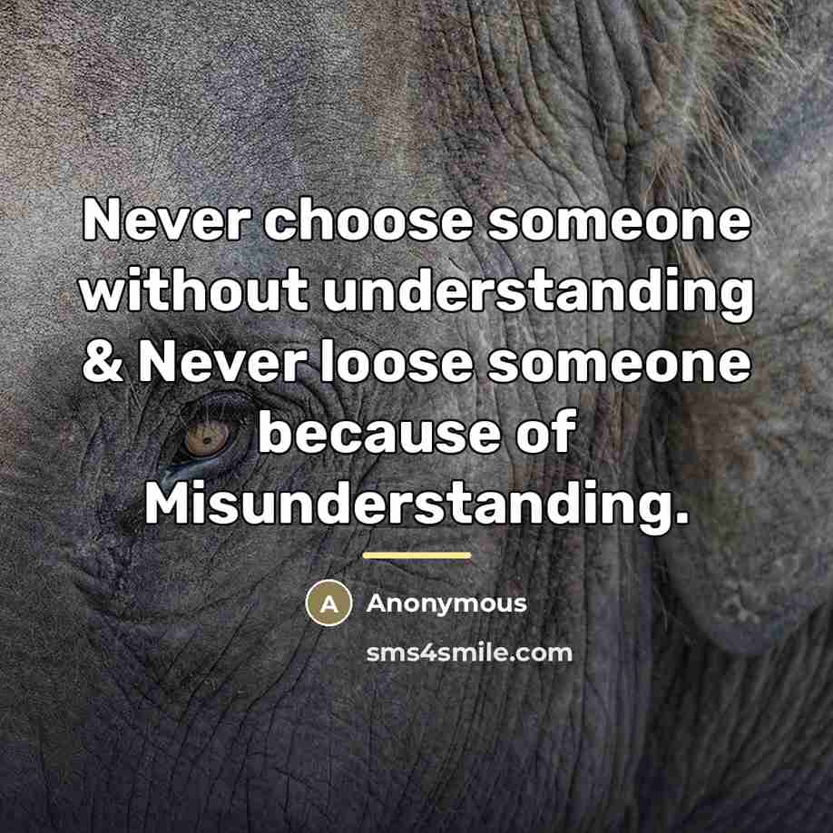 “Never choose someone without understanding & Never loose someone because…” quote by Anonymous