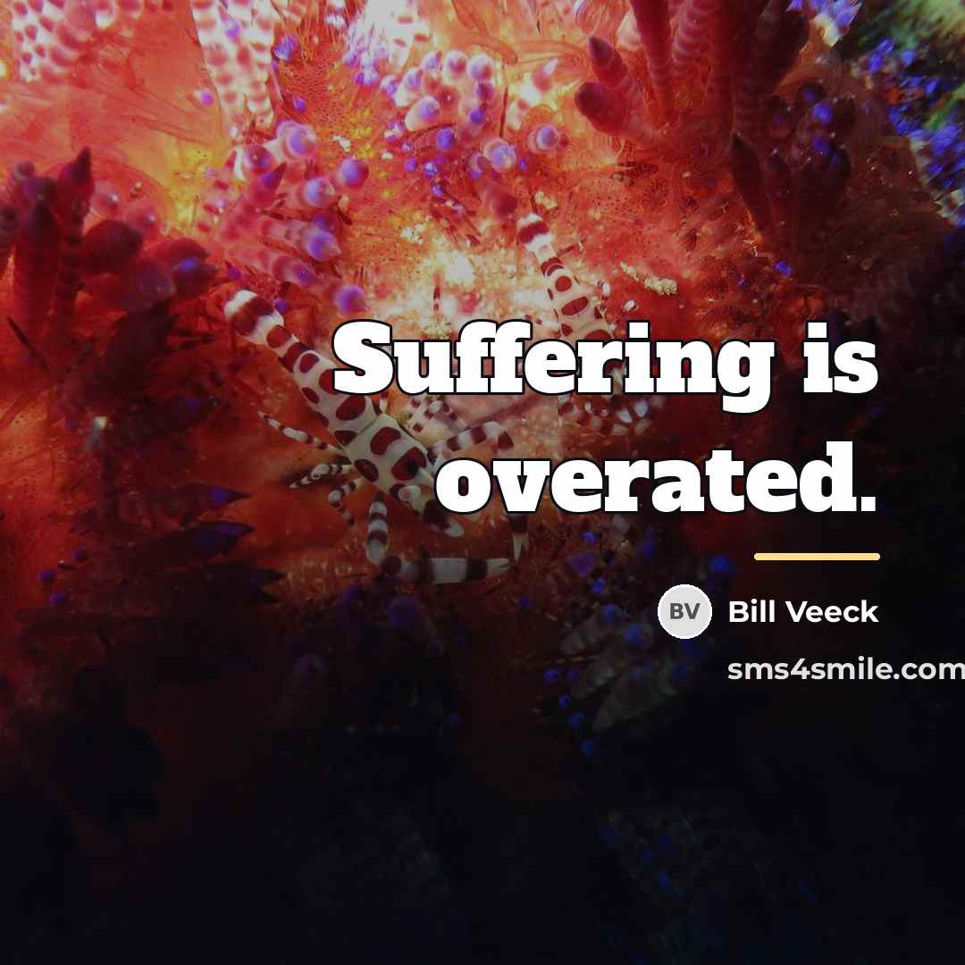“Suffering is overated.…” quote by Bill Veeck