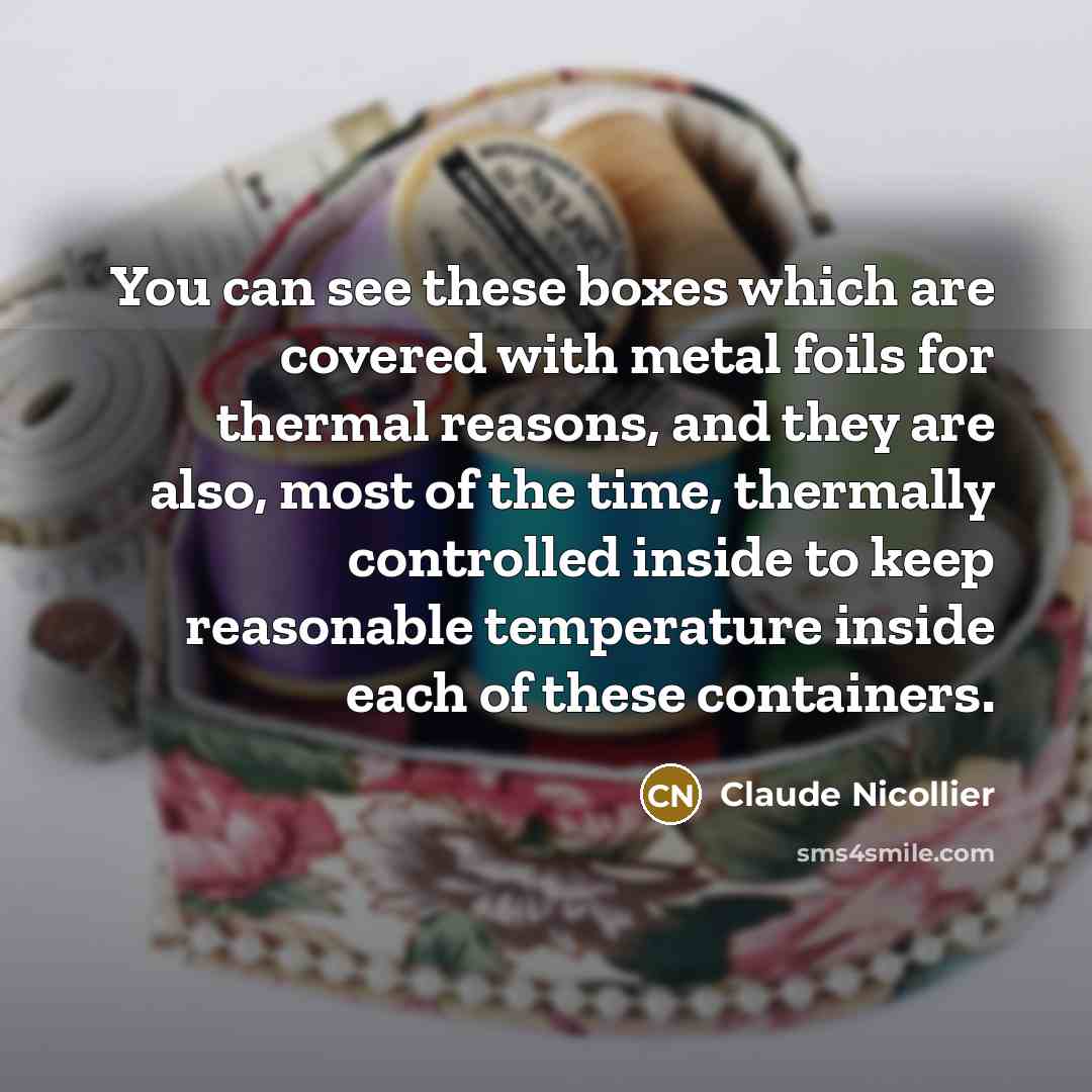 “You can see these boxes which are covered with metal…” quote by Claude Nicollier