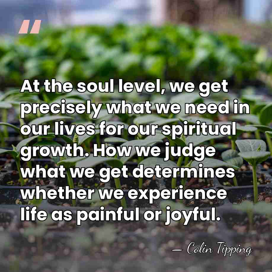 At the soul level, we get precisely what we need in our&hellip; - Colin Tipping