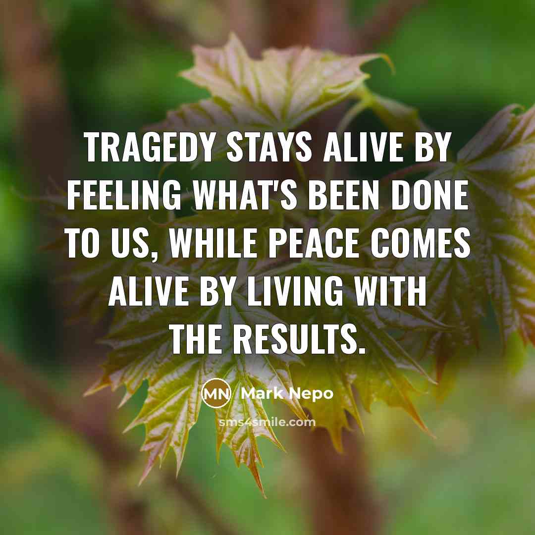 “Tragedy stays alive by feeling what's been done to us,…” quote by Mark Nepo
