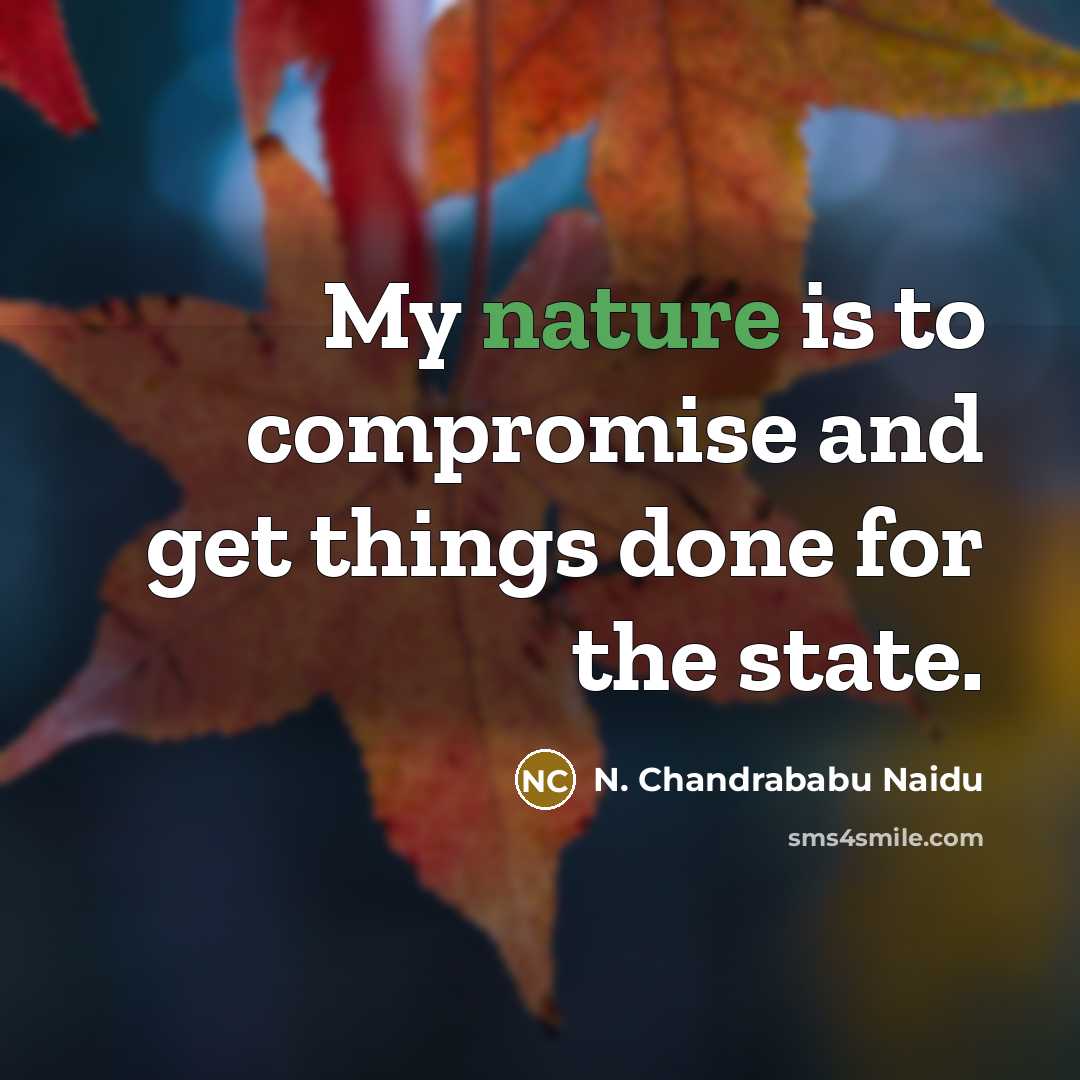 “My nature is to compromise and get things done for…” quote by N. Chandrababu Naidu