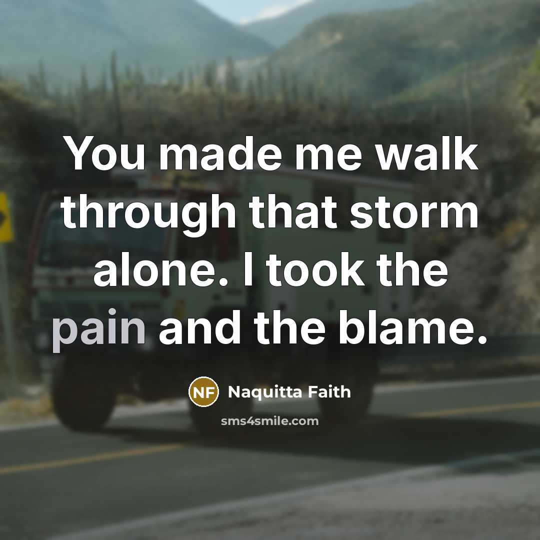 “You made me walk through that storm alone. I took…” quote by Naquitta Faith
