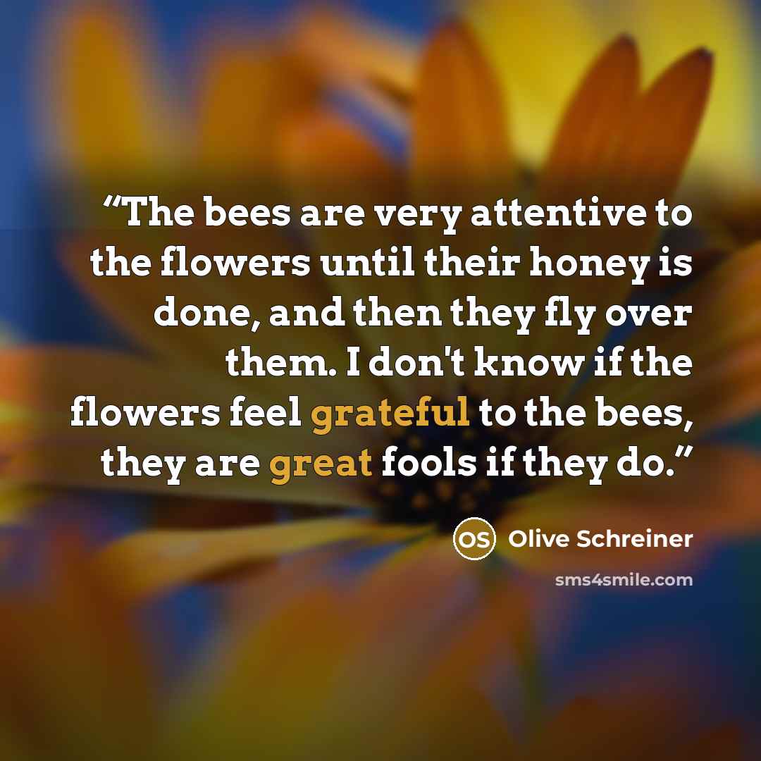 “The bees are very attentive to the flowers until their honey is done, and then they fly over them. I don't know if the flowers feel grateful to the bees, they are great fools if they do.” quote by Olive Schreiner