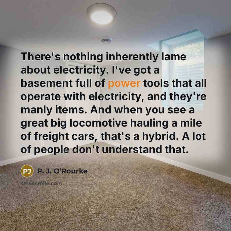 “There's nothing inherently lame about electricity. I've got a basement…” quote by P. J. O'Rourke