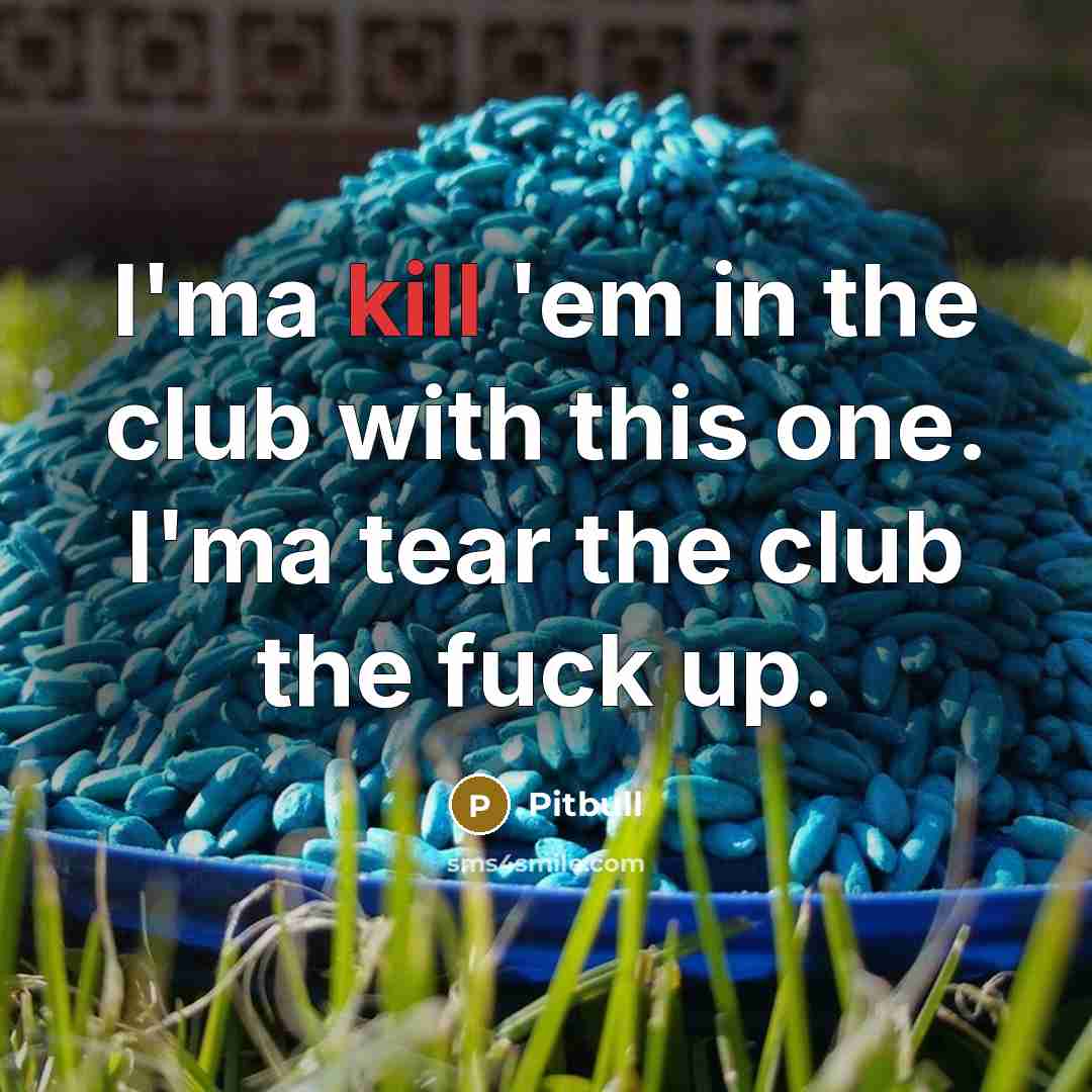 “I'ma kill 'em in the club with this one. I'ma tear the club the fuck up.” quote by Pitbull
