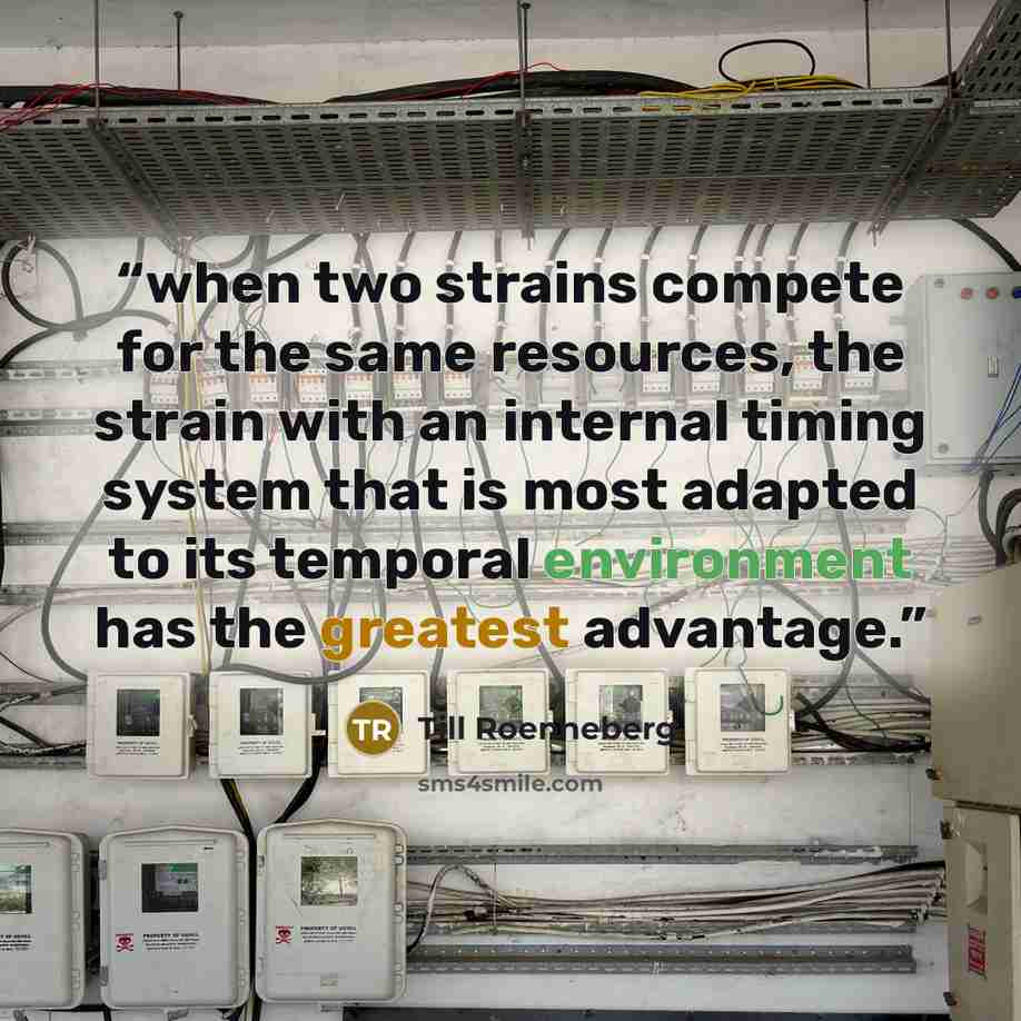 “when two strains compete for the same resources, the strain with an internal timing system that is most adapted to its temporal environment has the greatest advantage.” quote by Till Roenneberg