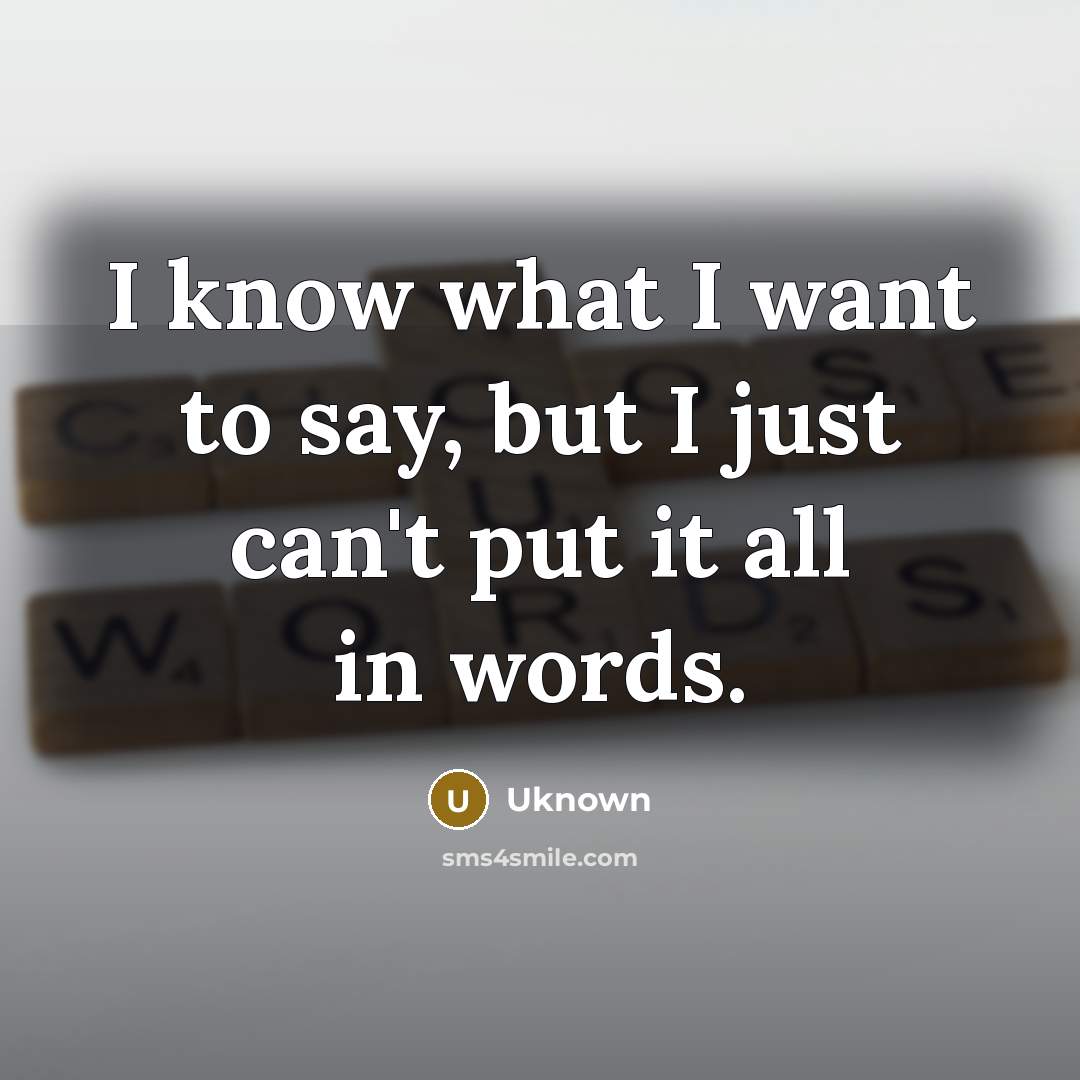 “I know what I want to say, but I just…” quote by Uknown