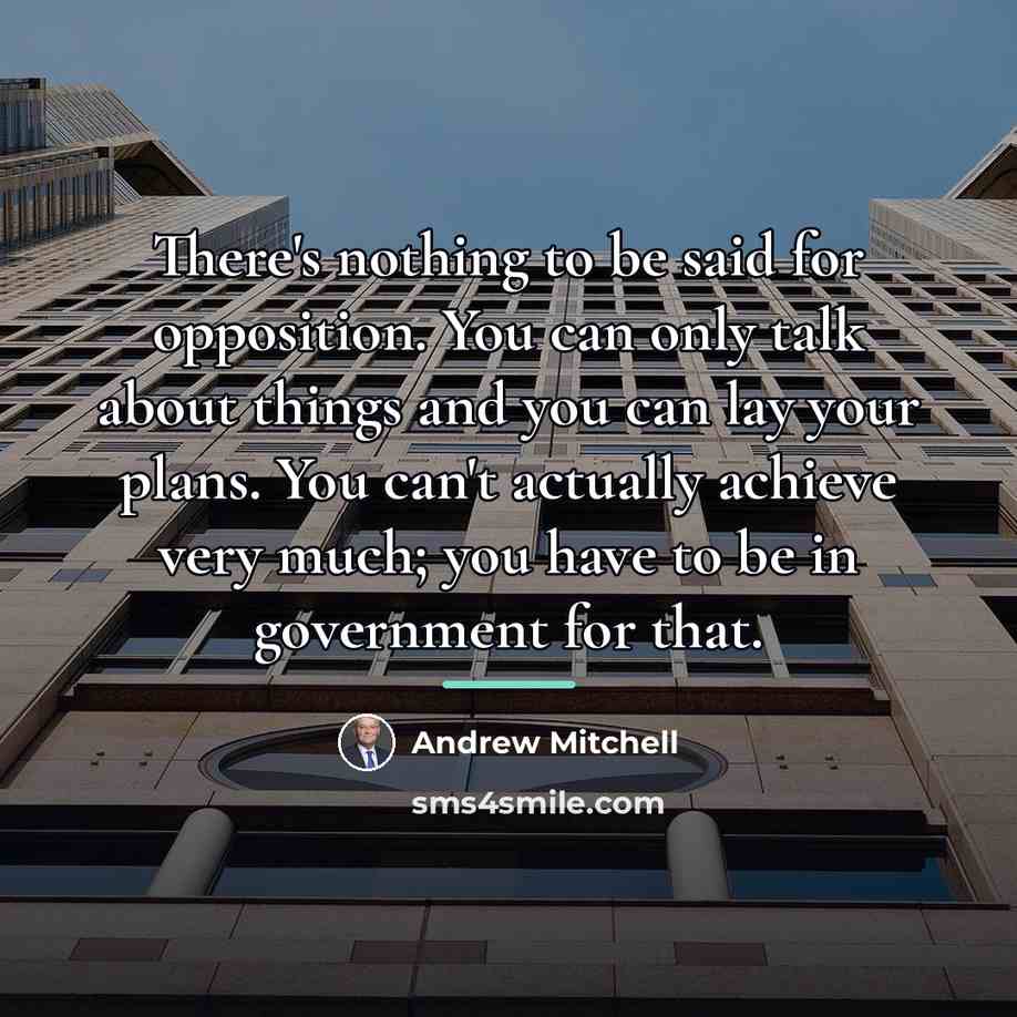 “There's nothing to be said for opposition. You can only…” quote by Andrew Mitchell