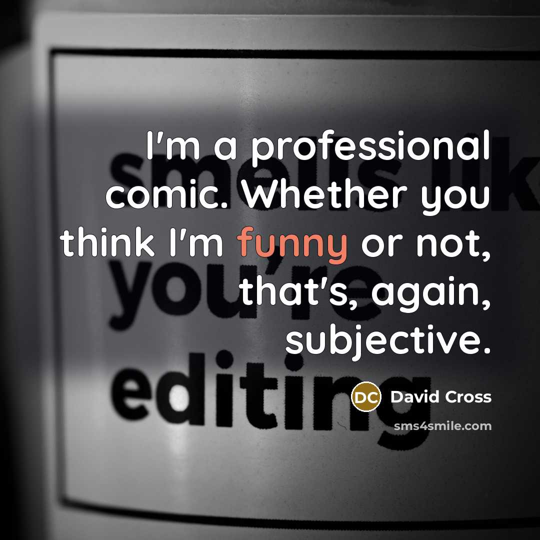 “I'm a professional comic. Whether you think I'm funny or not, that's, again, subjective.” quote by David Cross