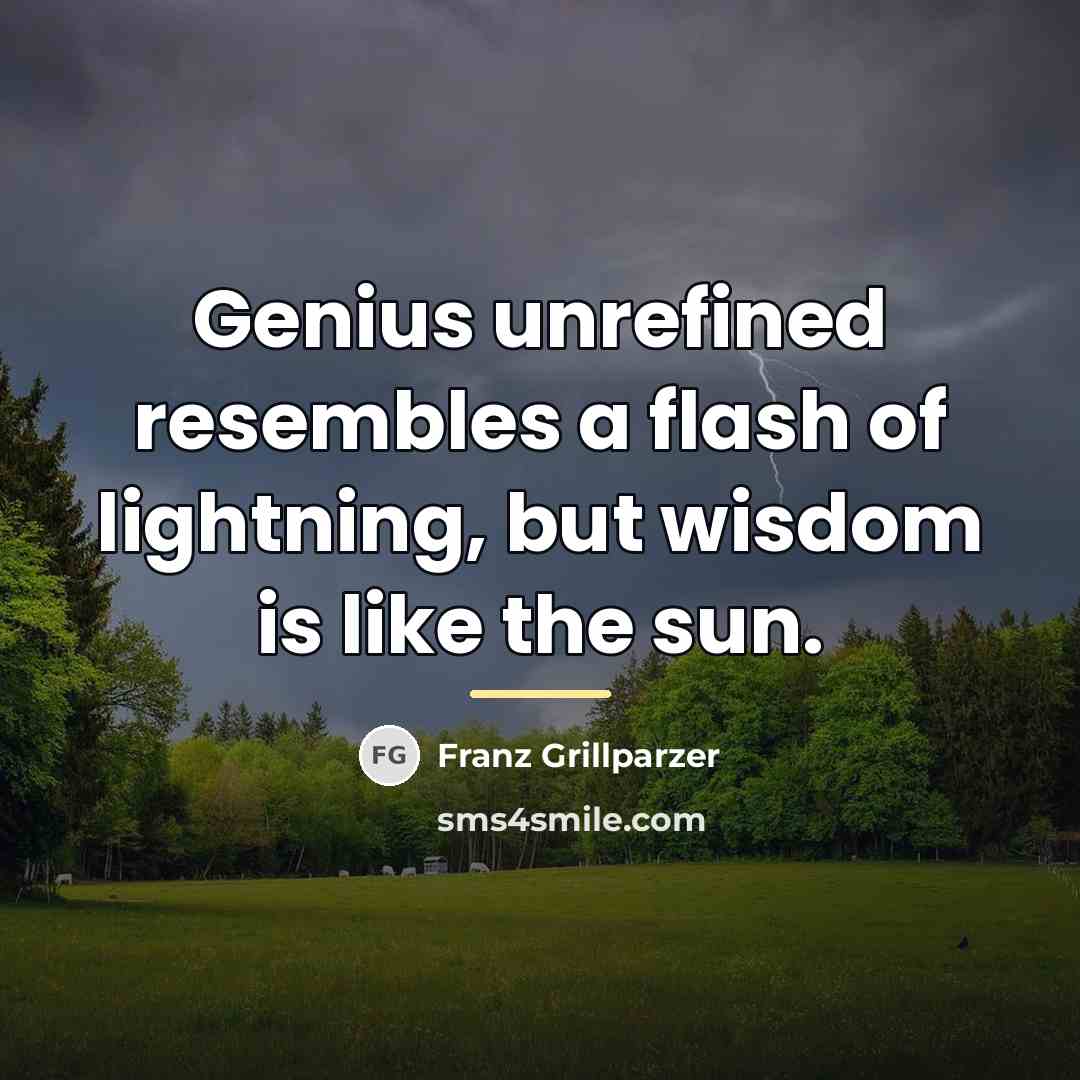 “Genius unrefined resembles a flash of lightning, but wisdom is…” quote by Franz Grillparzer