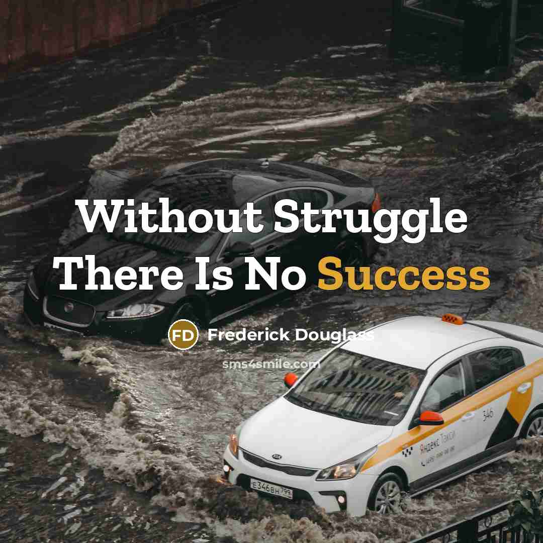 “Without Struggle There Is No Success…” quote by Frederick Douglass