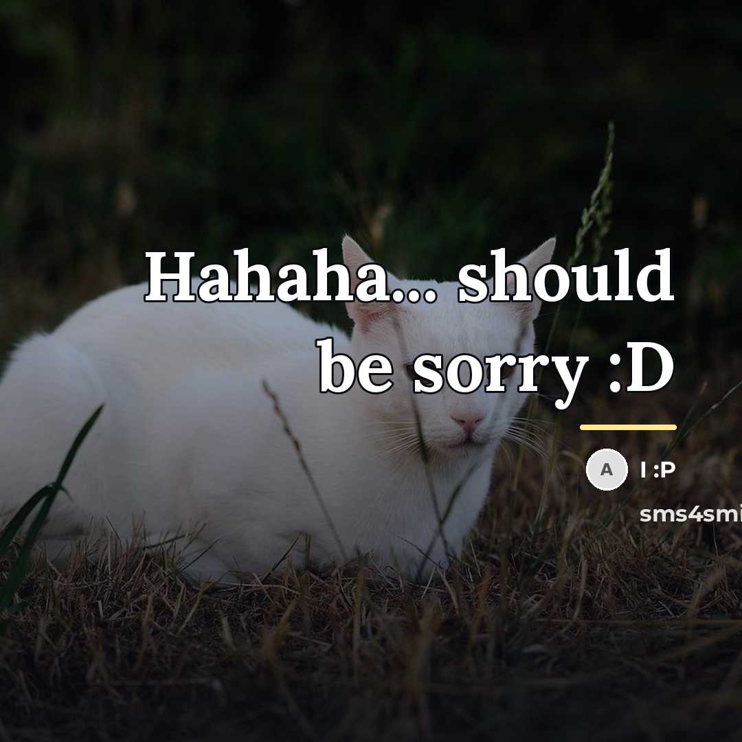 “Hahaha... should be sorry :D…” quote by I :P