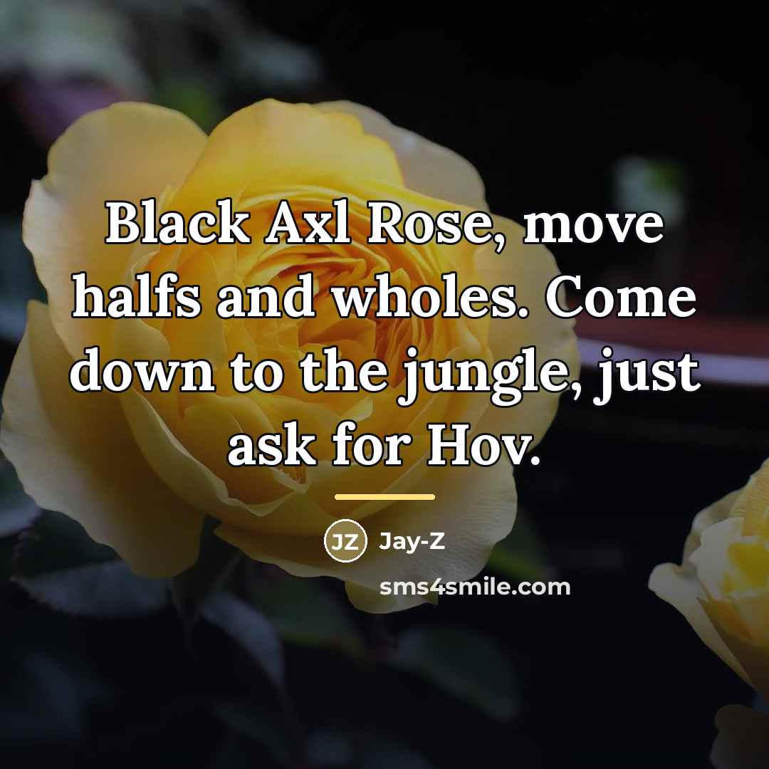 “Black Axl Rose, move halfs and wholes. Come down to…” quote by Jay-Z