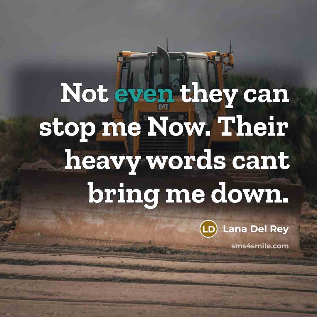 “Not even they can stop me Now. Their heavy words cant bring me down.” quote by Lana Del Rey