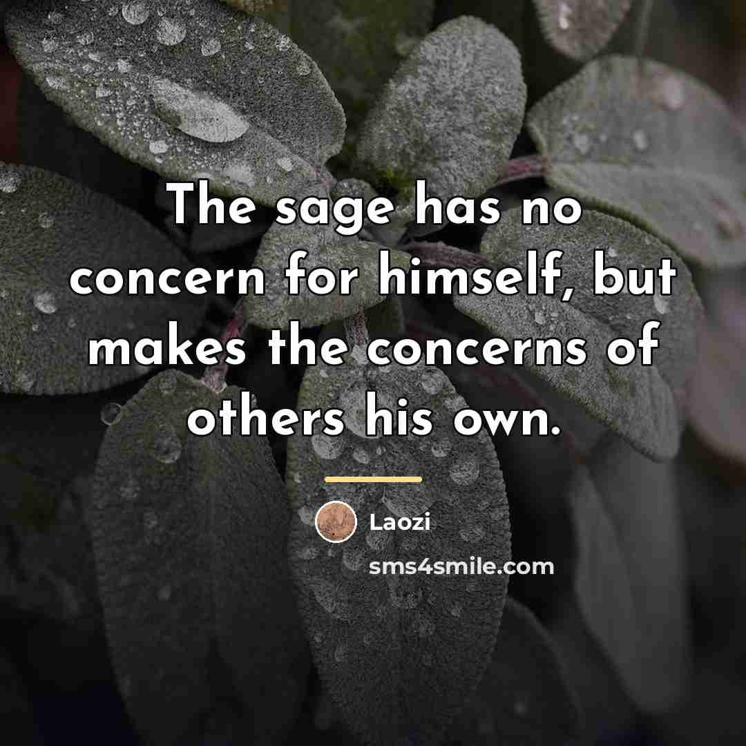 “The sage has no concern for himself, but makes the…” quote by Laozi