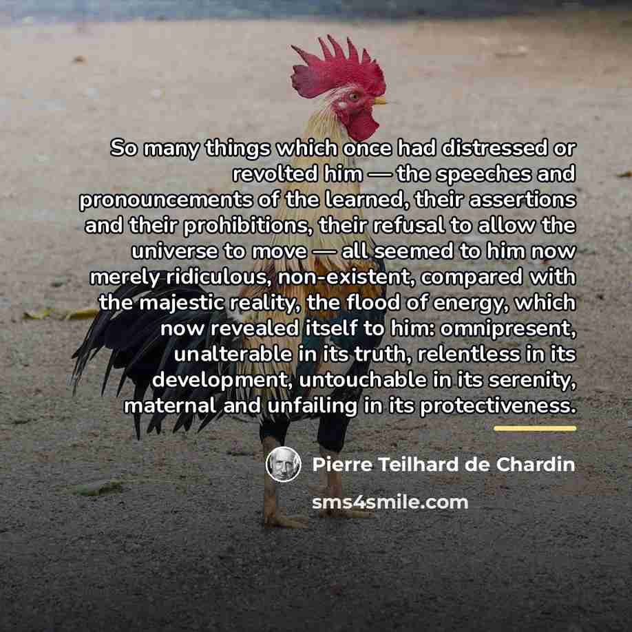 “So many things which once had distressed or revolted him…” quote by Pierre Teilhard de Chardin