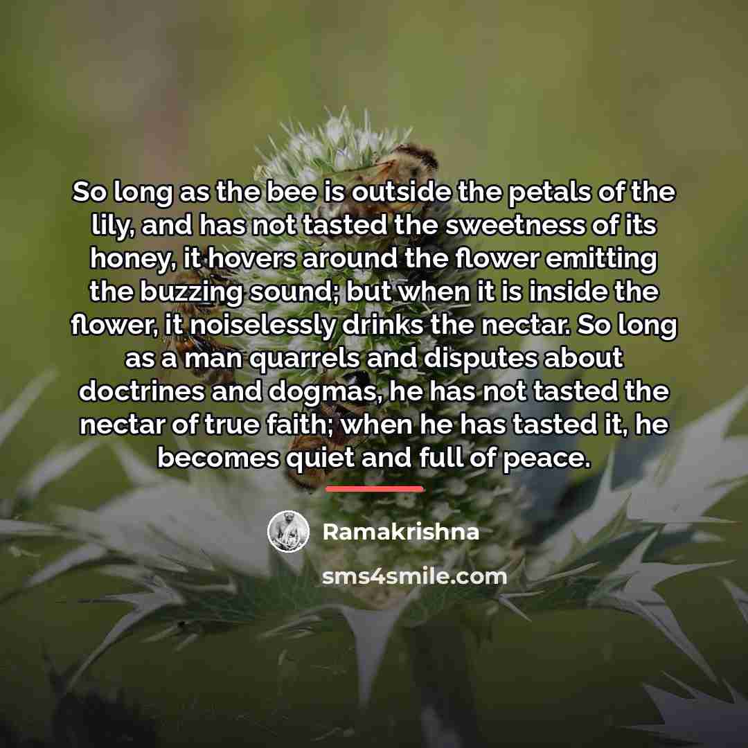 “So long as the bee is outside the petals of…” quote by Ramakrishna