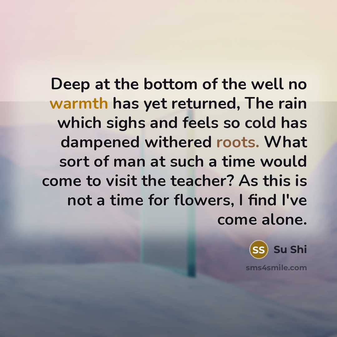 “Deep at the bottom of the well no warmth has…” quote by Su Shi